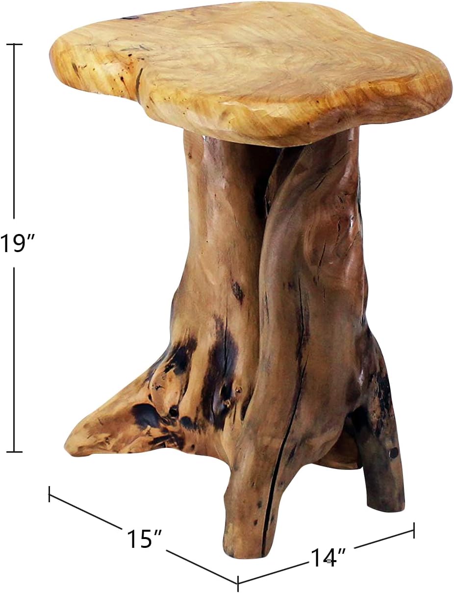 Natural Tree Stump Accent Table