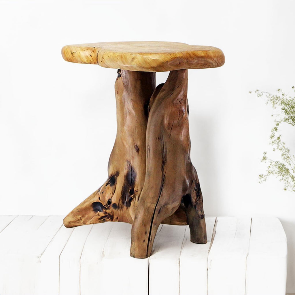 Natural Tree Stump Accent Table