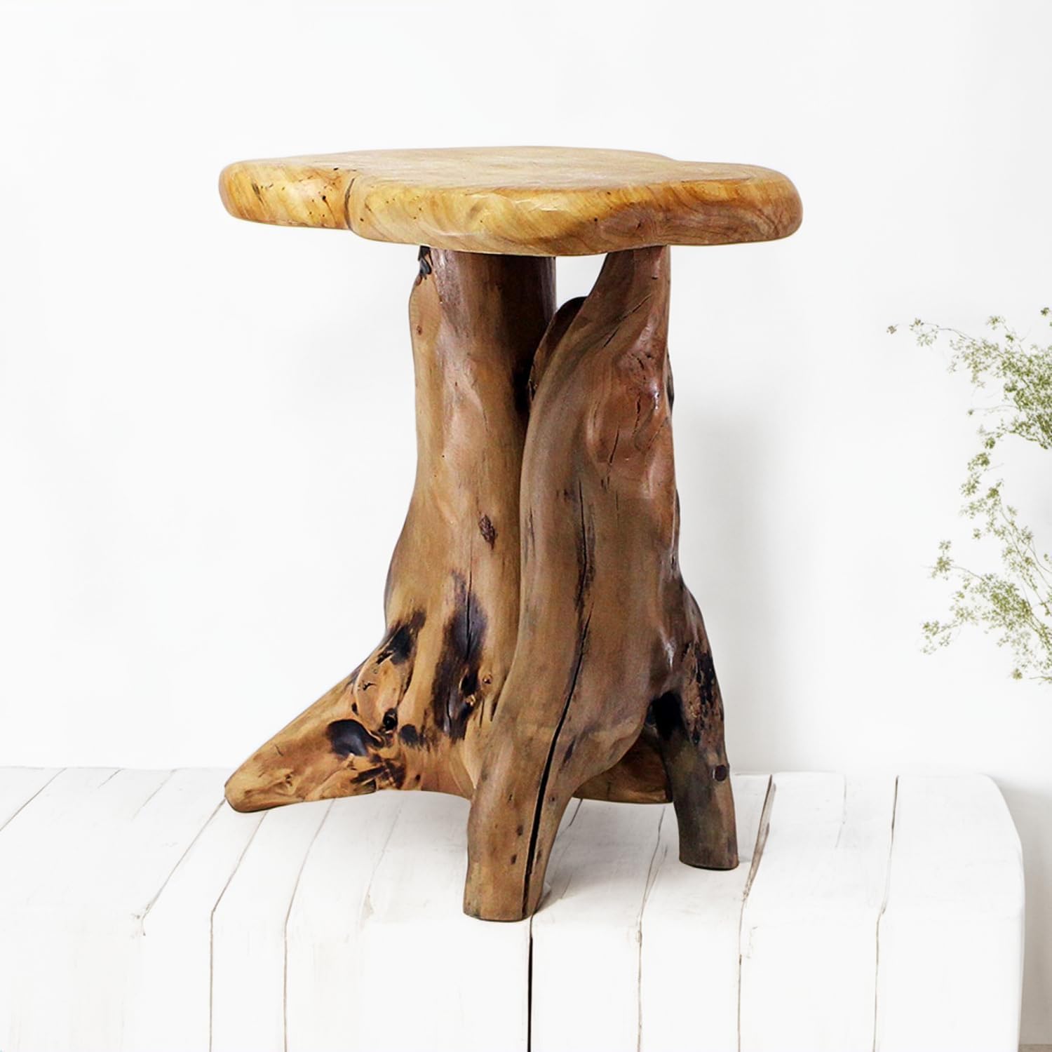 Natural Tree Stump Accent Table