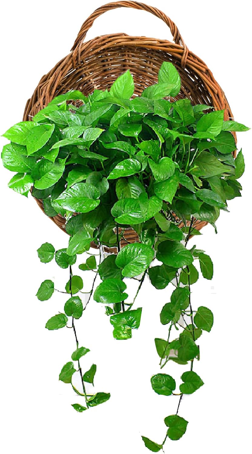 Foraineam Rattan Hanging Planter
