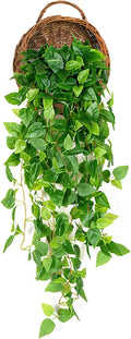 Foraineam Rattan Hanging Planter