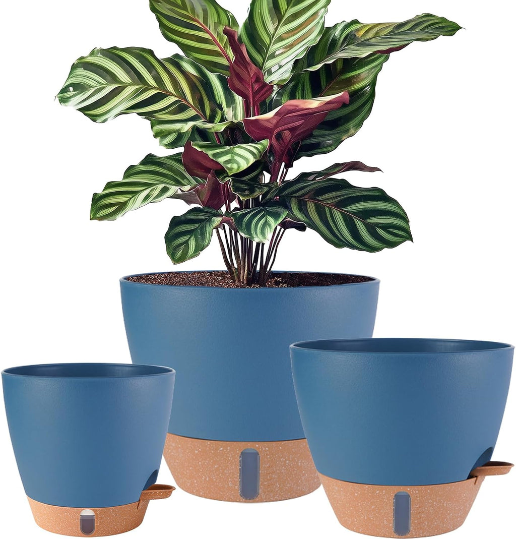 3 Pack Navy Blue Self Watering Plant Pots