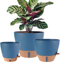 3 Pack Navy Blue Self Watering Plant Pots