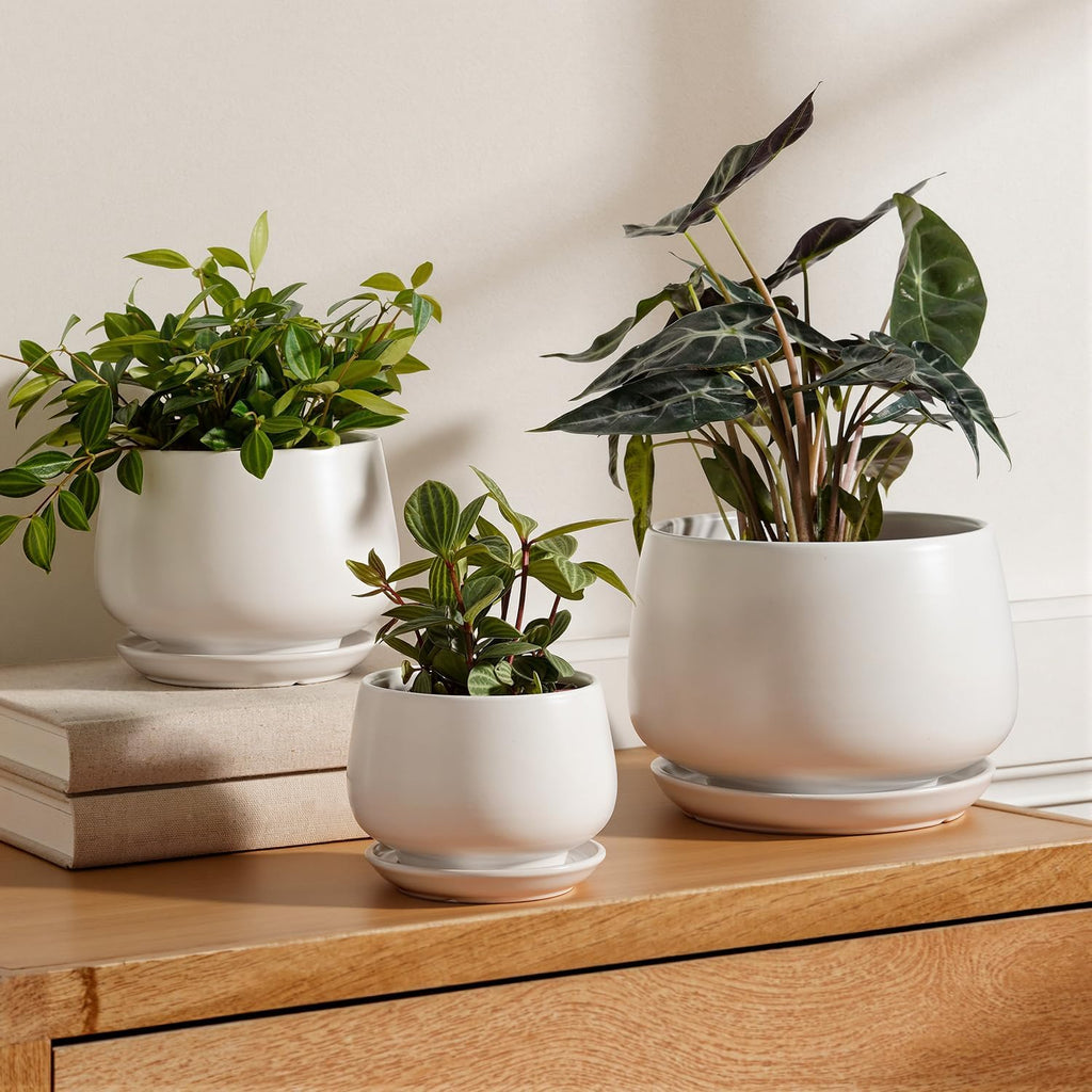 White Ceramic Plant Pots Set of 3