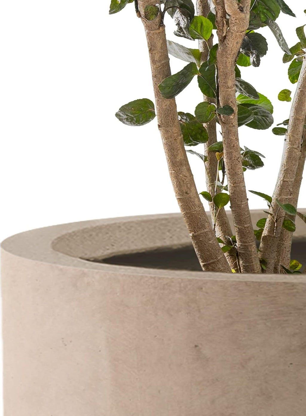 Kante Concrete Round Planters Set of 3