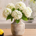 Off-White Farmhouse Ceramic Vase