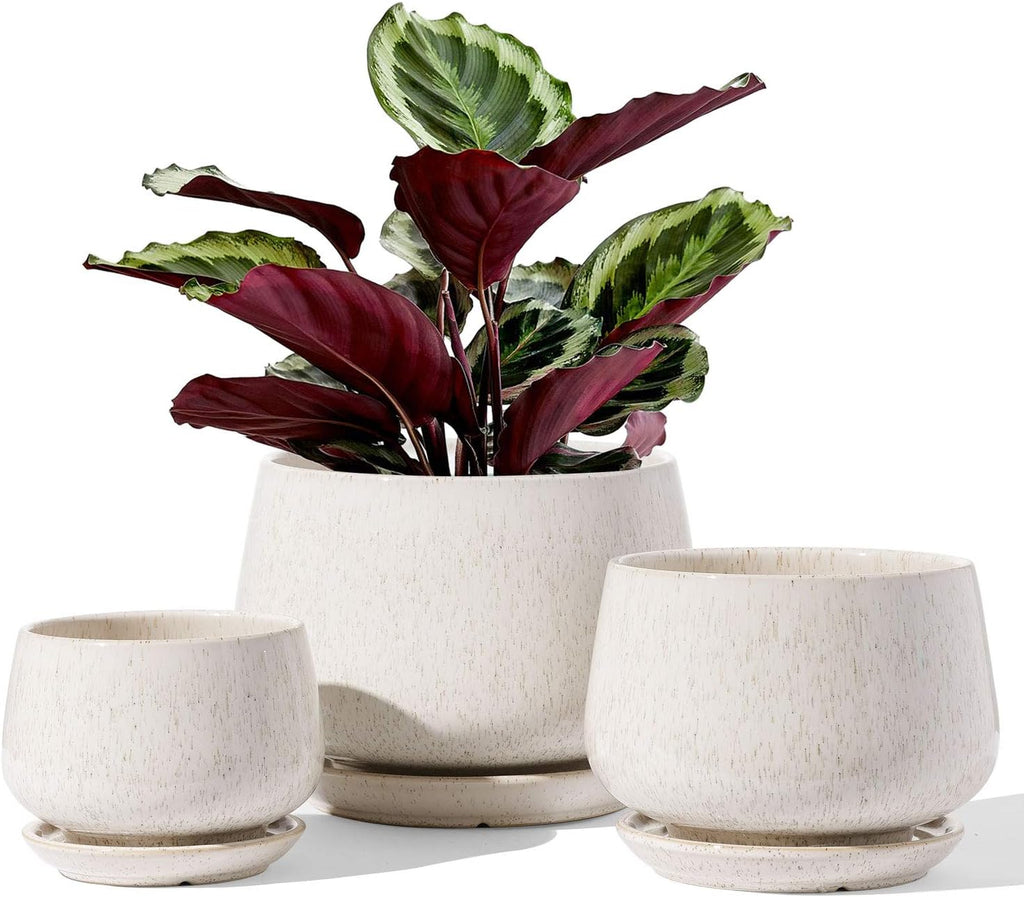 Beige Ceramic Plant Pots Set of 3