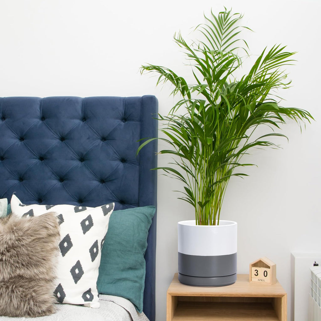 Ceramic Cylinder Planter Pot