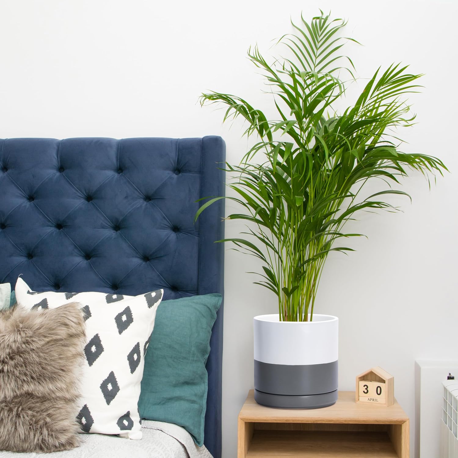 Ceramic Cylinder Planter Pot