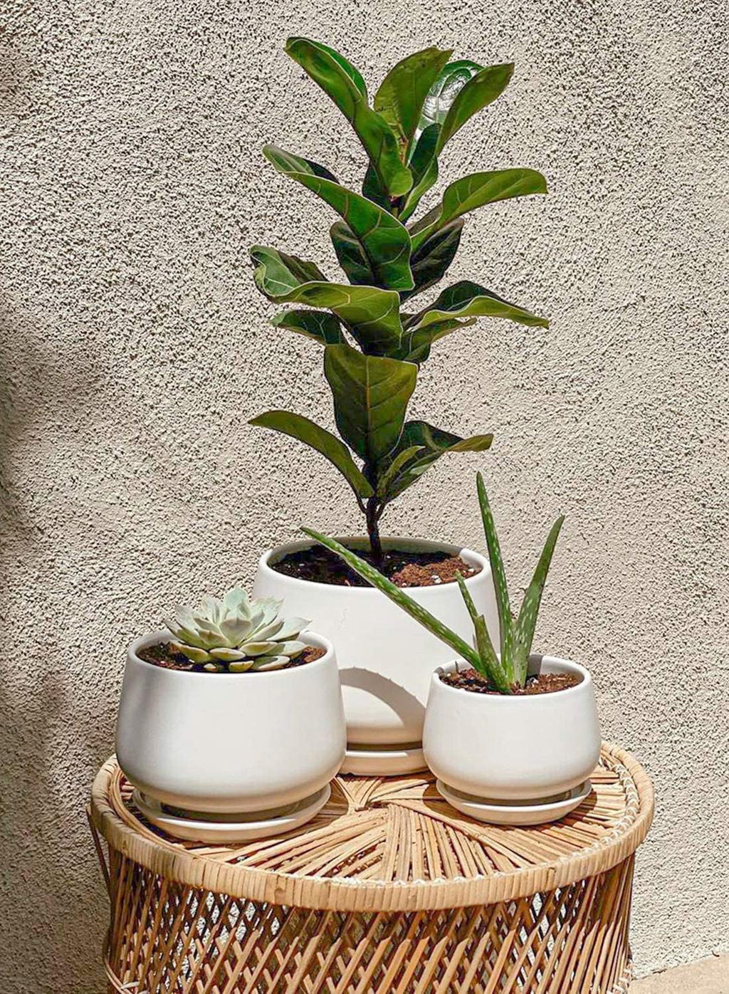White Ceramic Plant Pots Set of 3