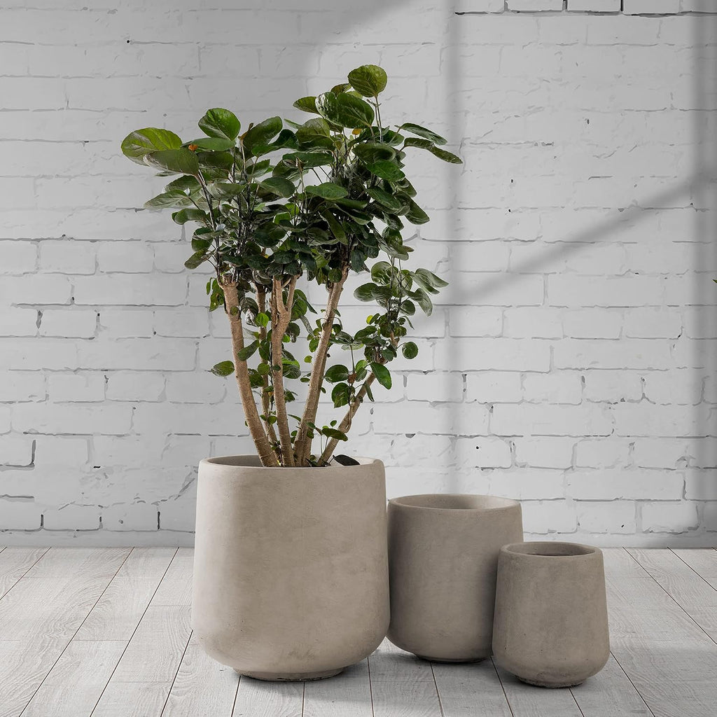 Weathered Concrete Planters Set of 3