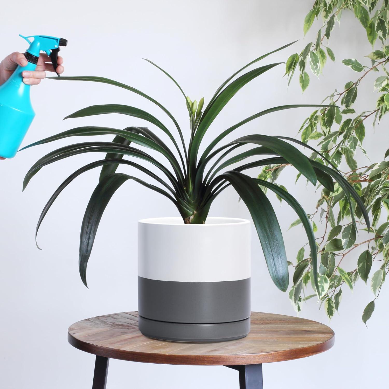 Ceramic Cylinder Planter Pot
