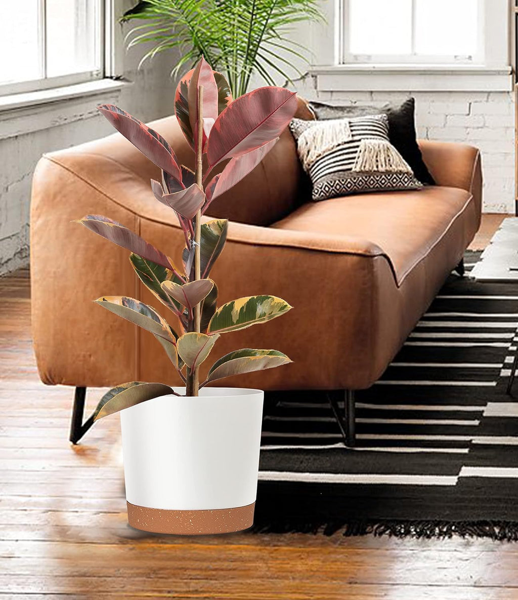 10 Inch White Plastic Plant Pots