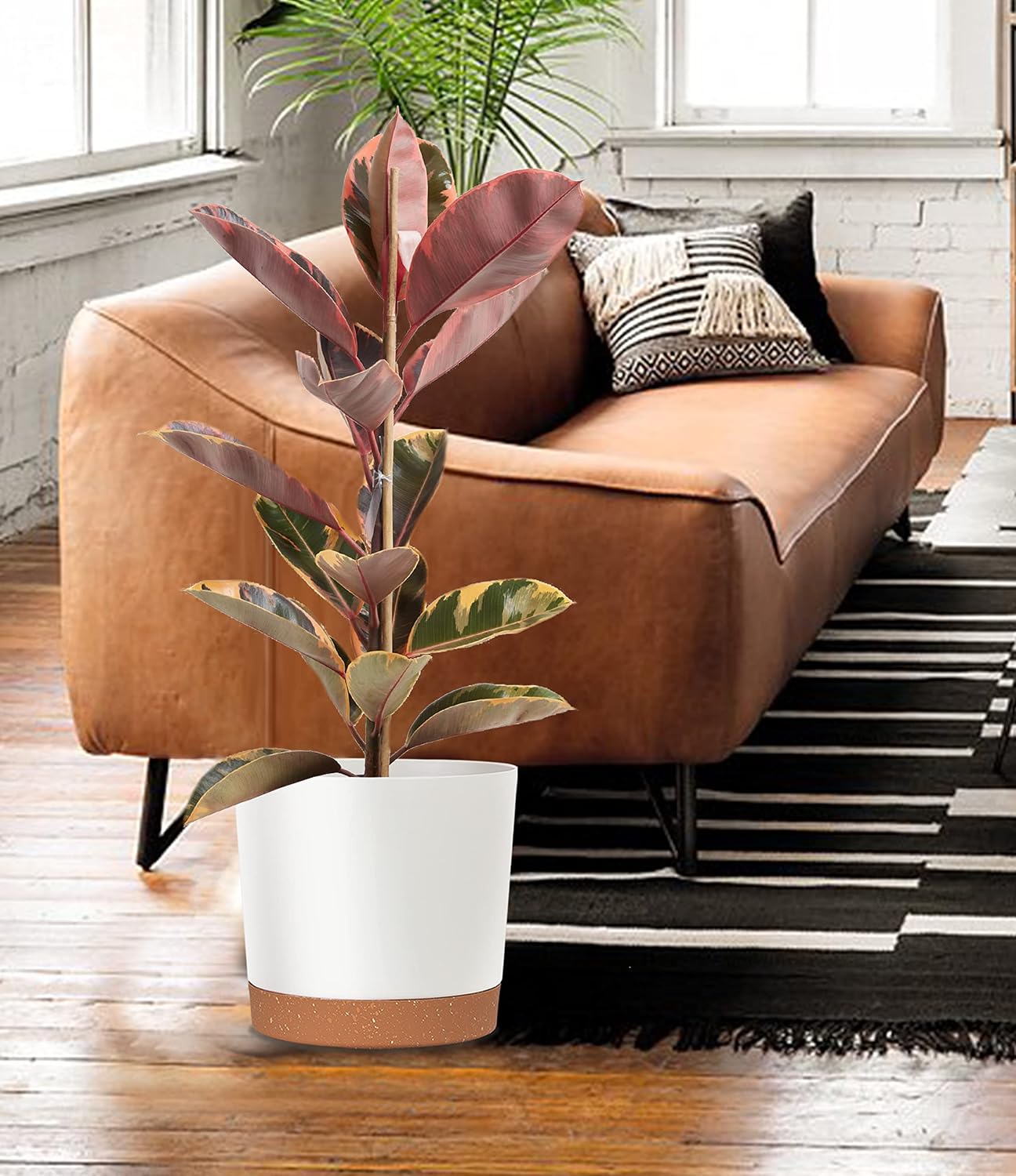 10 Inch White Plastic Plant Pots