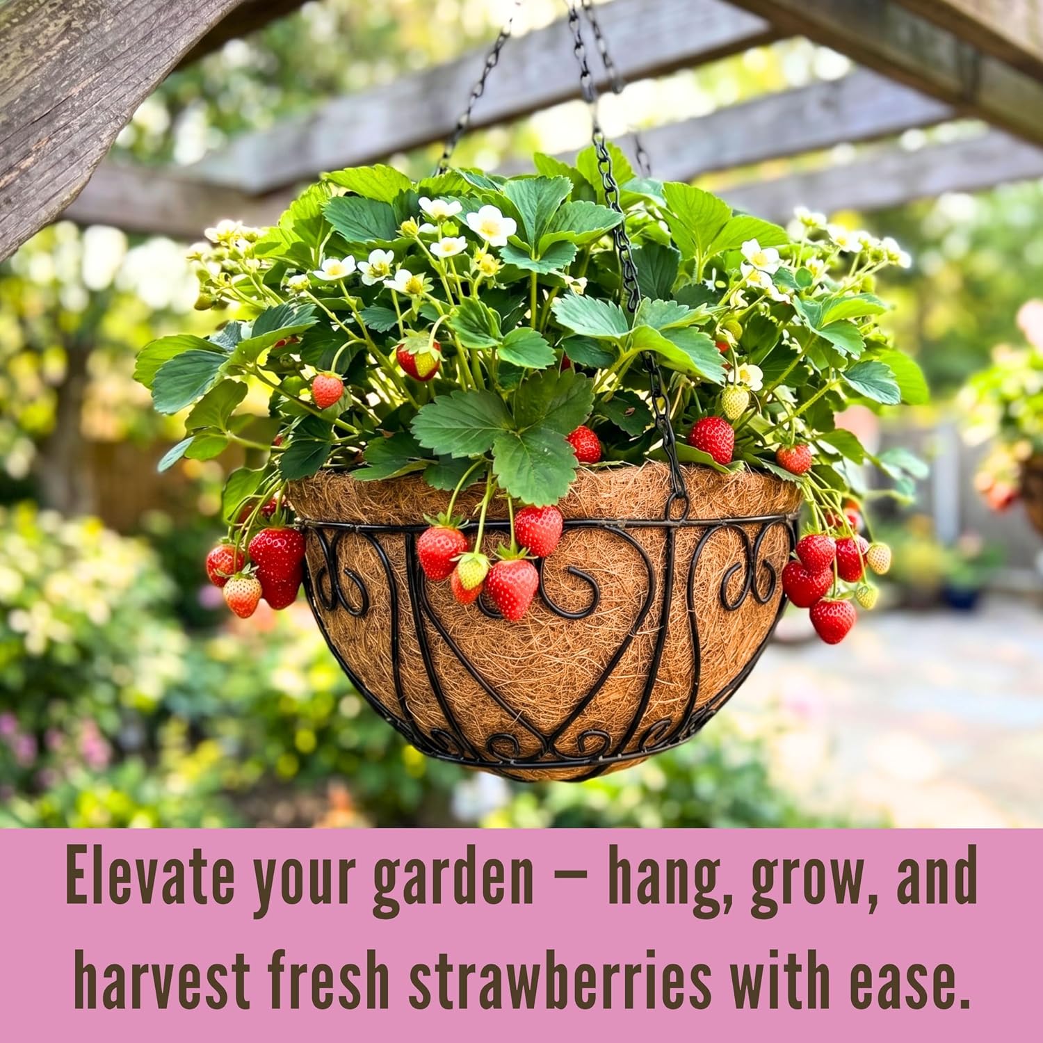 LaLaGreen Hanging Baskets 2-Pack
