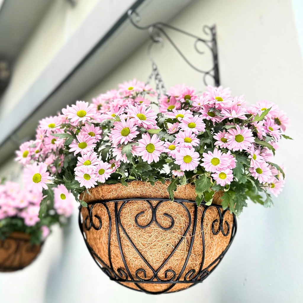 LaLaGreen Hanging Baskets 2-Pack