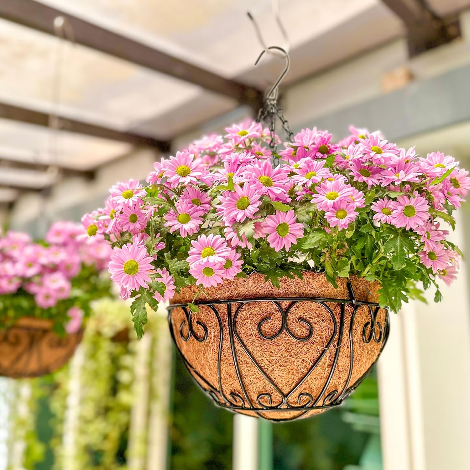 LaLaGreen Hanging Baskets 2-Pack